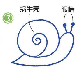 草地上的蜗牛简笔画画法步骤03