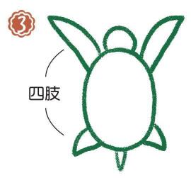 海里的海龟简笔画画法步骤03