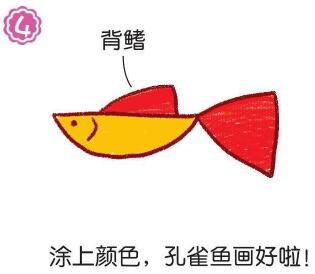孔雀鱼简笔画