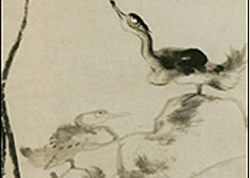 清代朱耷《荷花水鸟图》欣赏