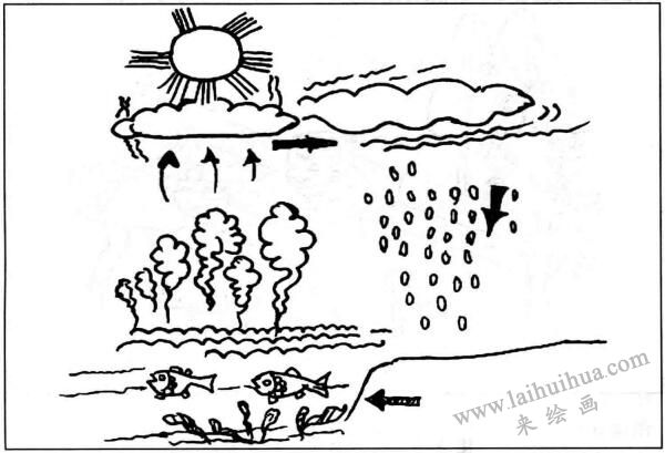 自然科学：雨的形成