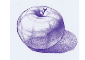 《苹果》结构素描