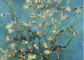 梵高《开花的杏树》油画