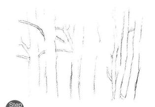 森林素描画法步骤02