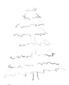 圣诞树素描画法步骤01