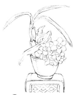 小盆栽水仙花素描画法步骤03