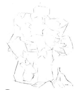 小盆栽木盆花卉素描画法步骤02
