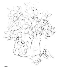 小盆栽木盆花卉素描画法步骤04