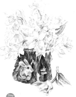 小盆栽木盆花卉素描画法步骤10