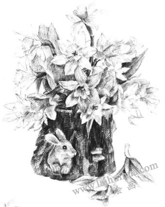 小盆栽木盆花卉素描画法步骤13