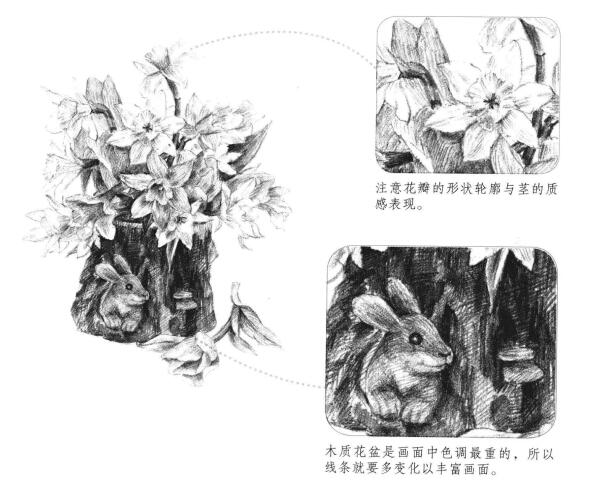 木盆花卉素描画法