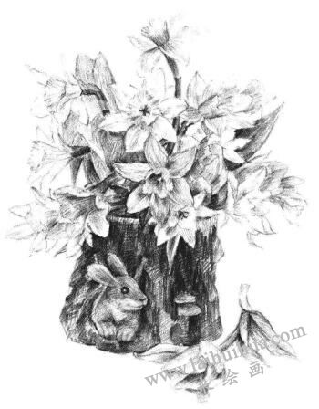 小盆栽木盆花卉素描画法步骤14