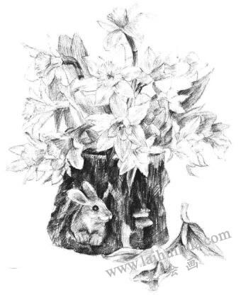 小盆栽木盆花卉素描画法步骤12