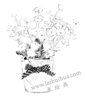 小盆栽香菊素描画法步骤07