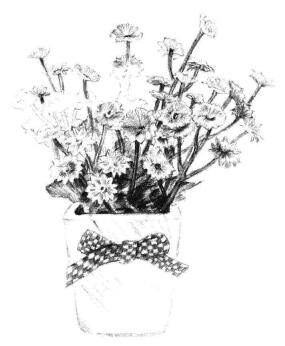 小盆栽香菊素描画法步骤10
