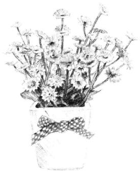 小盆栽香菊素描画法步骤11