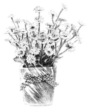 小盆栽香菊素描画法步骤12