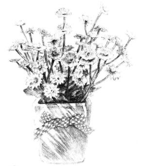小盆栽香菊素描画法步骤14