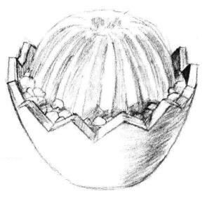 小盆栽仙人球素描画法步骤06