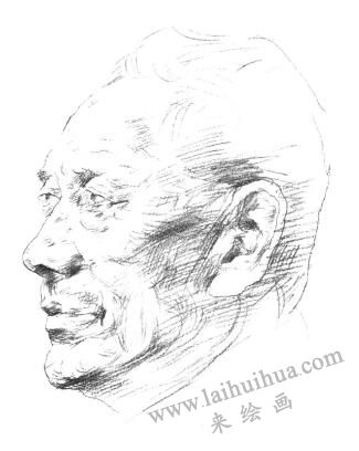 津门老人肖像素描画法步骤02