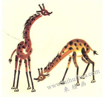 长颈鹿儿童国画画法步骤04