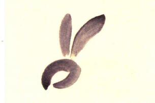 兔子儿童水墨画画法步骤01