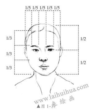 头部结构特征与比例关系03，人物头部素描画法
