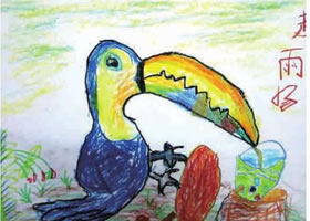 巨嘴鸟儿童画作品图片