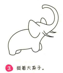 大象简笔画画法步骤03