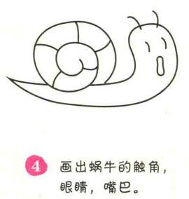 蜗牛简笔画画法步骤04