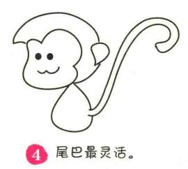 猴子简笔画画法步骤04