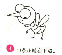 蚊子简笔画画法步骤04