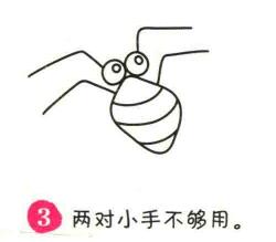 蜘蛛简笔画画法步骤03