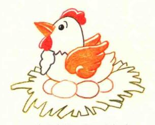 鸡的色铅笔简笔画画法步骤03