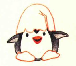 企鹅的色铅笔简笔画画法步骤04