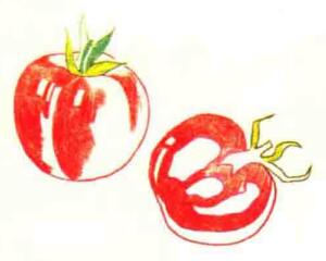 西红柿色铅笔简笔画画法步骤04