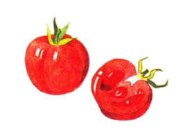 西红柿的色铅笔简笔画