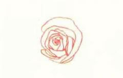 玫瑰花色铅笔简笔画画法步骤01