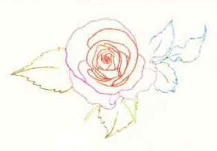 玫瑰花色铅笔简笔画画法步骤03