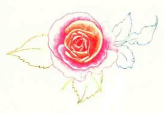 玫瑰花色铅笔简笔画画法步骤05