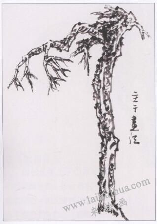 中国画松树主干的画法03