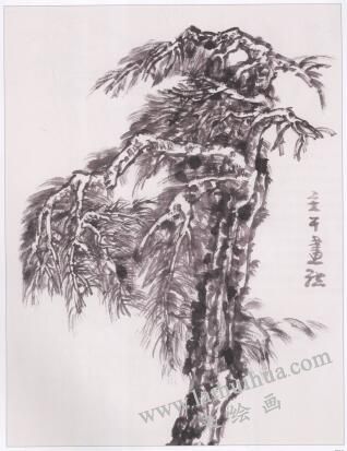 中国画松树主干的画法05