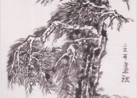 中国画松树主干的画法