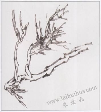 中国画树枝的画法步骤01