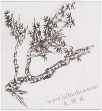中国画树枝的画法步骤02