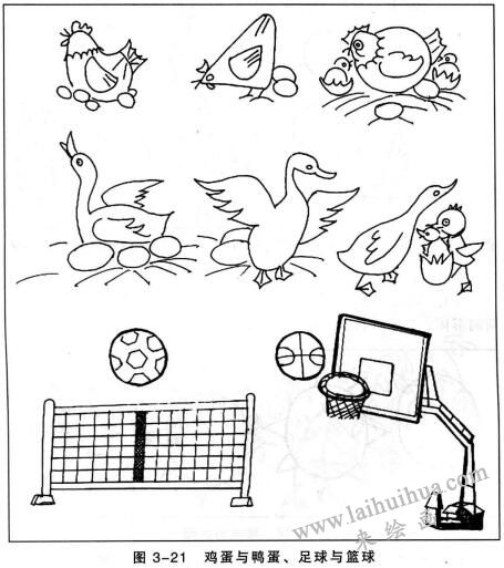 鸡蛋与鸭蛋、足球与篮球