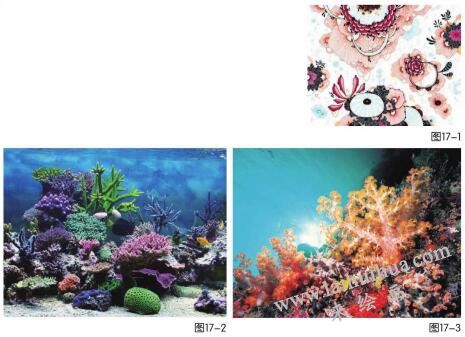梦幻珊瑚海儿童绘画步骤01,02,03
