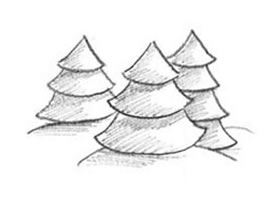 松树的创意素描画法