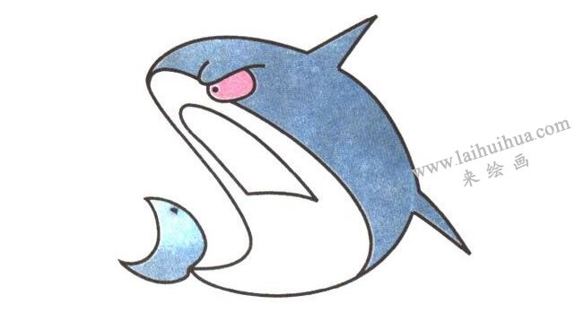 鲨鱼卡通画法步骤03
