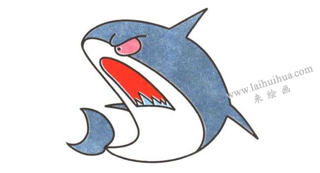 鲨鱼卡通画法步骤04